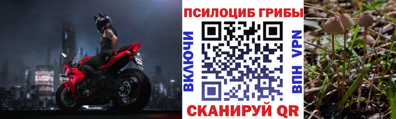 Галлюциногенные грибы MAGIC MUSHROOMS  блэк спрут как зайти  Крым 