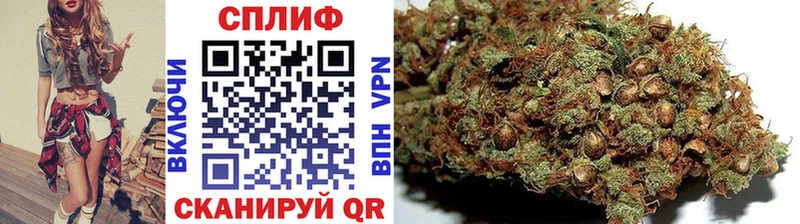 Бошки Шишки сатива купить наркоту Крым